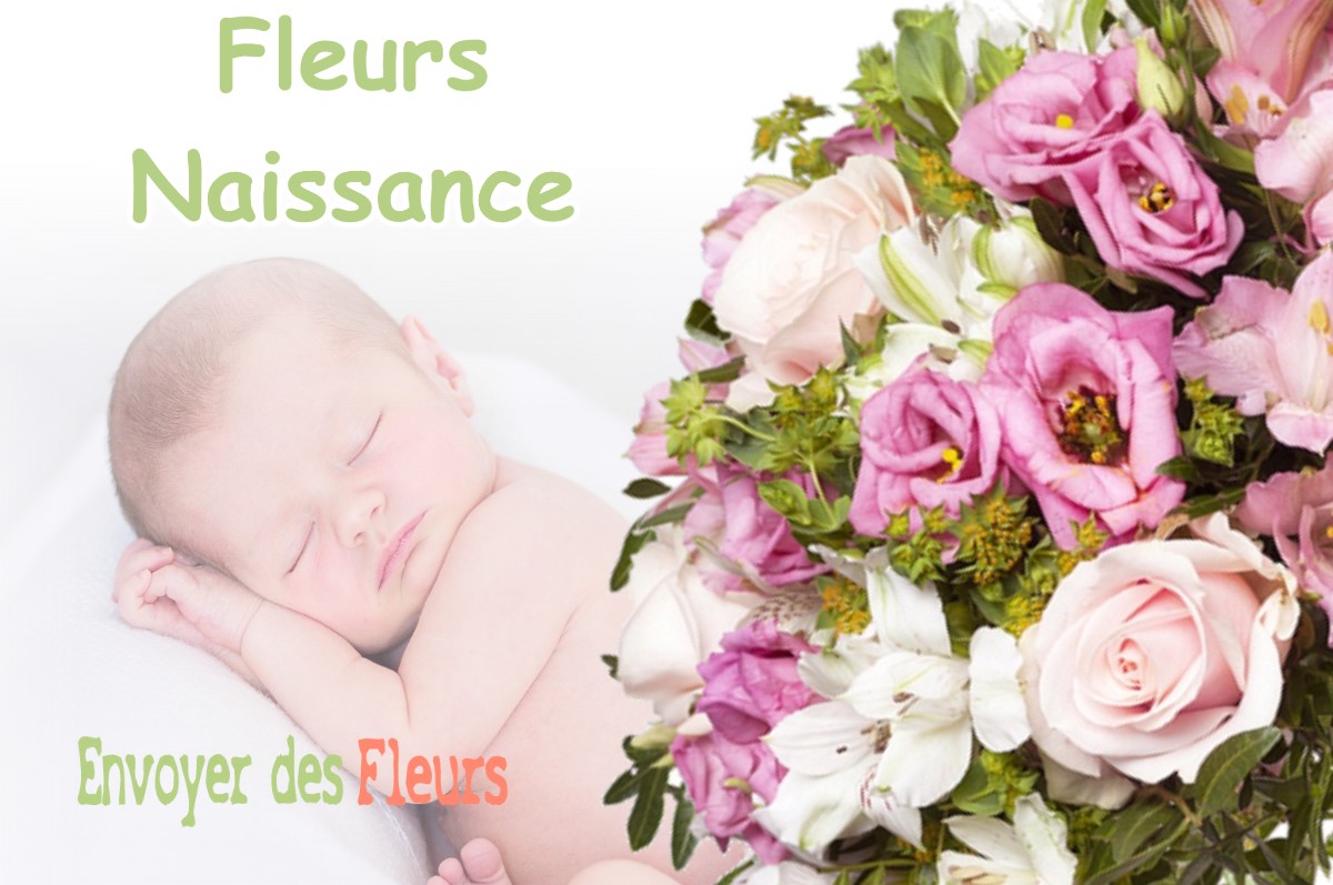 lIVRAISON FLEURS NAISSANCE à SAINT-ROMAIN-DE-SURIEU